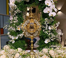 virgen de coromoto