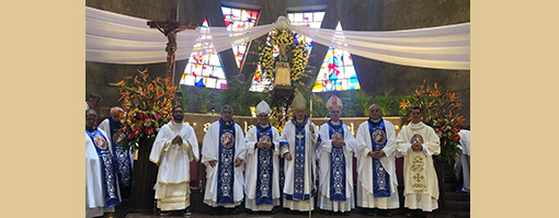 virgen de coromoto